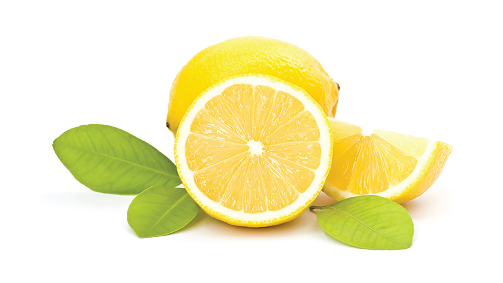 Citrus limonum